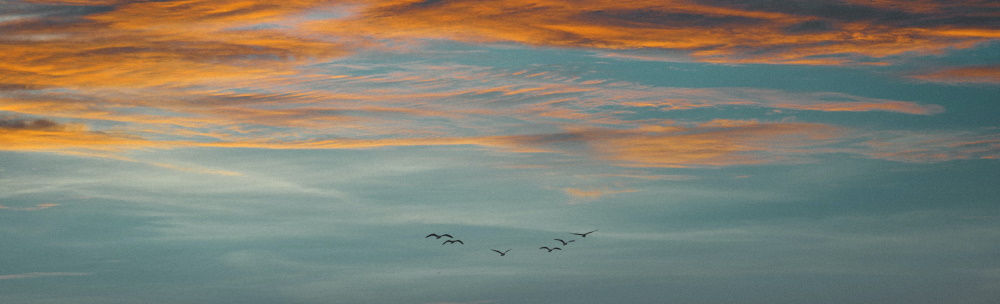 Blogartikel | Reiki Praxis Hamburg